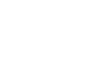 Joe´s Star bullterrier